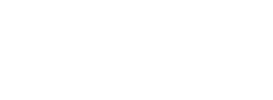 Brunner IT